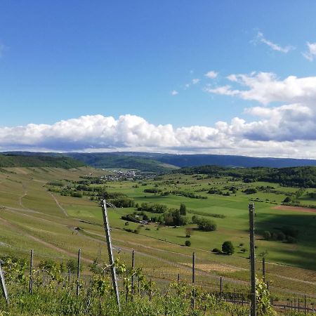 Ferienwohnung Panoramablick Lieser Εξωτερικό φωτογραφία